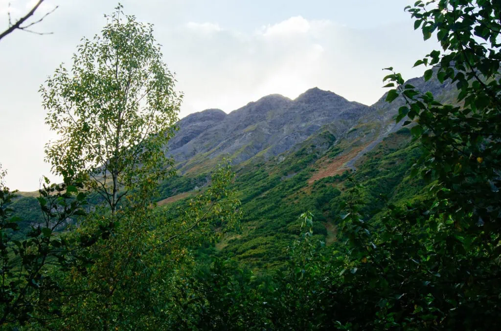 A mountainous landscape with green foliage in the foreground and rolling hills in the background under a partially cloudy sky.